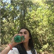 Offro ripetizioni in tutte le materie scolastiche